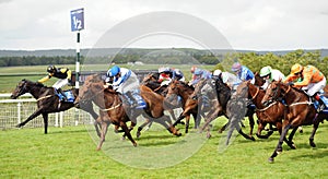 Horse Racing