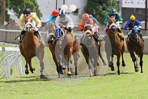 Horse Racing