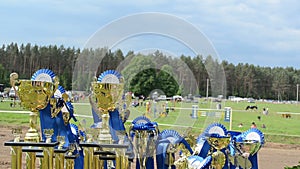 Horse racing cups awards