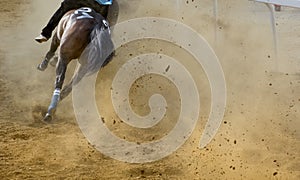 Horse racing details of galloping horses legs on hippodrome