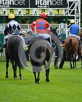 UK Horse racing. down at the start