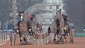 Horse racing, French Trotter, harness racing at racecourse, Caen, Normandy, France