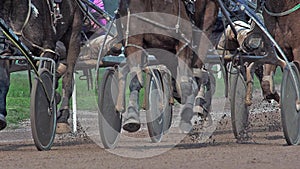 Horse racing, French Trotter, harness racing at racecourse, Caen, Normandy, France