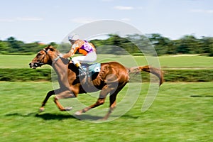 Horse racing on green racecourse