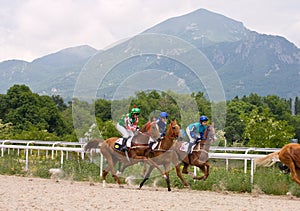 Horse racing at the hippodrome in Pyatigorsk. photo