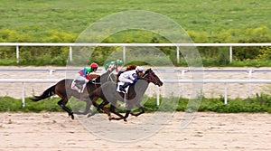 Horse racing at the hippodrome in Pyatigorsk. photo