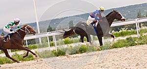 Horse racing at the hippodrome in Pyatigorsk. photo