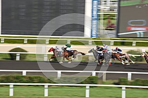 Abstract Motion Blur Horse Race