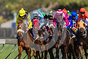 Horse Racing Jockeys Colors