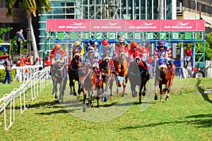 Horse racing in Mauritius