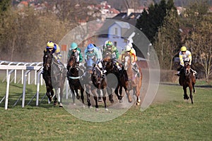 Horse racing in Prague Chuchle