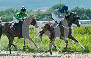 Horse racing for the prize in honor of the mare Big Tric