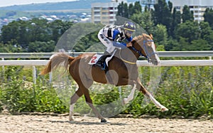 Horse racing for the prize of the Letni in Pyatigorsk.