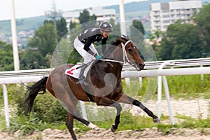 Horse racing in Pyatigorsk.