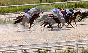 Horse racing in Pyatigorsk city