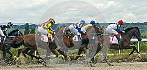 Horse racing in Pyatigorsk photo