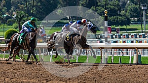 Santa Anita Park Horse Racing