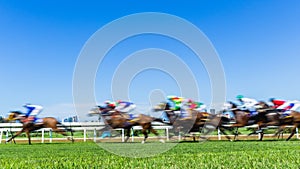 Horse Racing Speed Motion Blur Grass Track