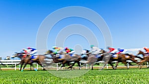 Horse Racing Speed Motion Blur Grass Track