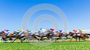 Horse Racing Speed Motion Blur Grass Track