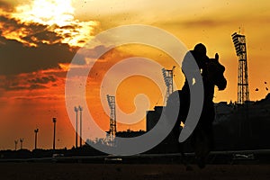 Horse racing at sunset