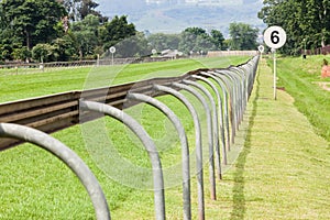 Horse Racing Track