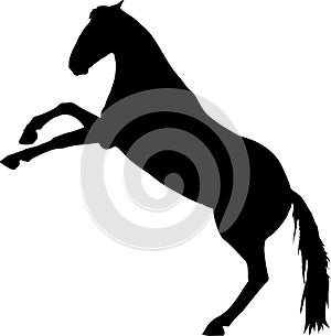 Horse rear vector