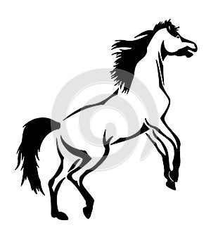 Horse rearing up vector ~