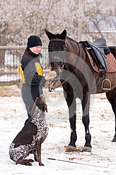 Horse receiving an apple from person with dog watching