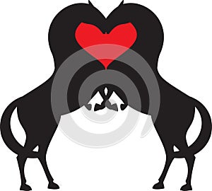 Horse red heart