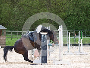 Horse Refusing Jump