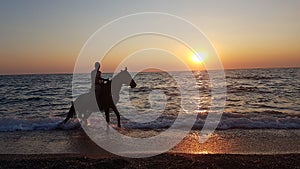 horse ridding in sunset time by the sea preveza greece