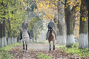 Horse ride