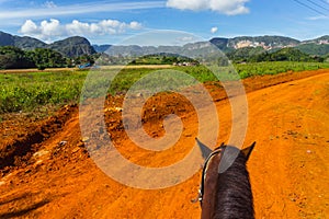 Horse ride in Cuba. Vinales countryside.