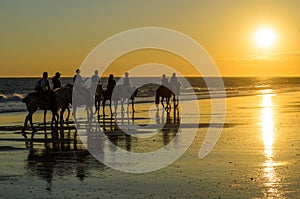 Horse ride at sunset on th beach of Mazagon, Huelva, Spain