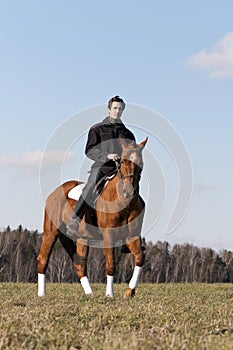 Un caballo jinete 