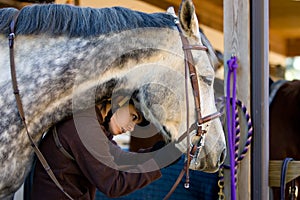 Horse and rider