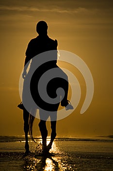 The horse rider on the beach