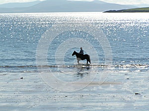 Horse rider on the Beach