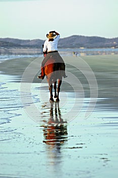 Horse and rider on beach