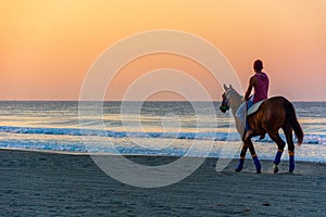 Horse rider in the beach