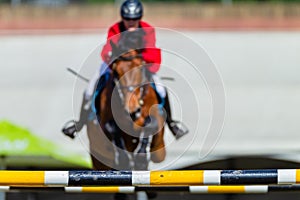 Horse Rider Blurred Jumping Equestrian Arena Poles
