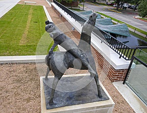 `Horse and Rider`, a bronze sculpture by Marino Marini in 1937 located outside the Meadows Art Museum in Dallas, Texas.