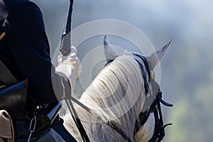 Horse and rider during the Civil War reenactment