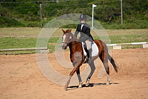 Horse and rider in dressage arena