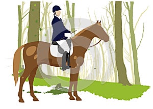 Horse rider in forest