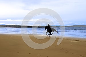 Horse and rider galloping along the coast