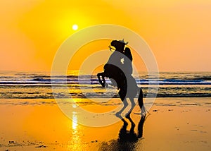 Horse and rider greeting the golden sun