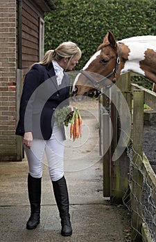 Horse rider holding a bunch of carrots with a horse looking over a fence