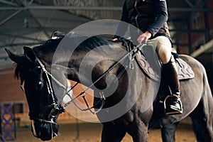 Horse rider on a horse in a riding arena